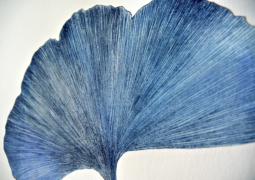 rhodoid